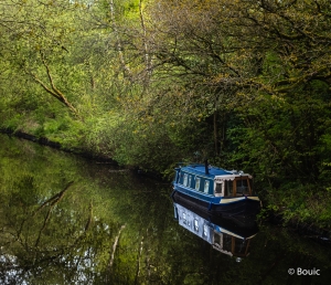Secluded Mooring