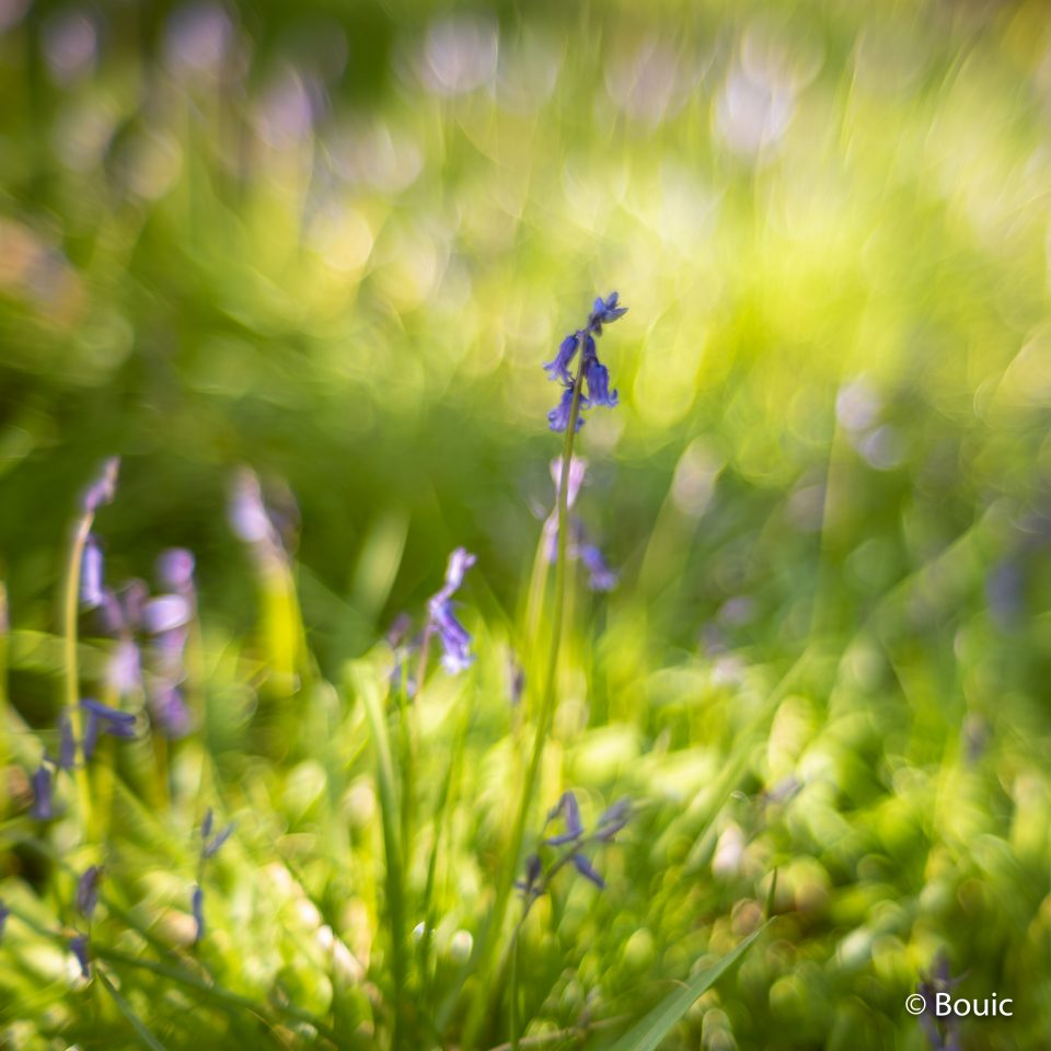 Standing Out